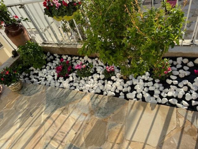 Panorama Γλυκά Νερά - Athens Apartment Ngoại thất bức ảnh