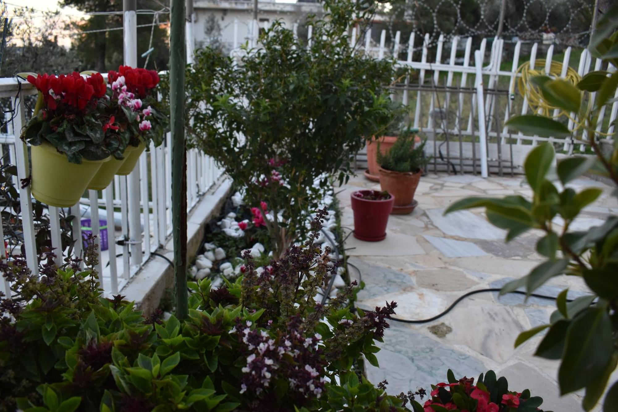 Panorama Γλυκά Νερά - Athens Apartment Ngoại thất bức ảnh